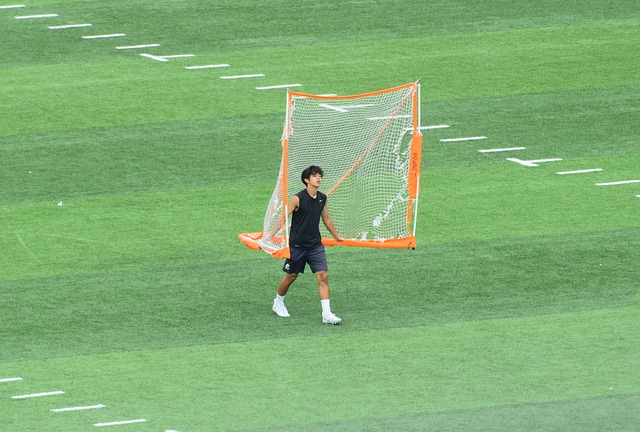 体系和团结