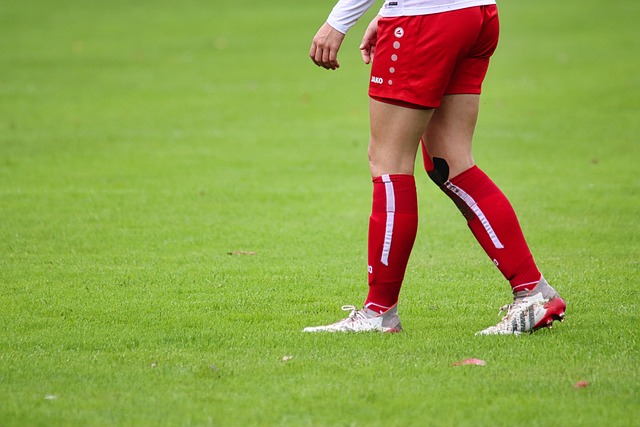 潜力与挑战 潜力与挑战