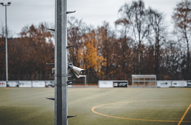 斯图加特在 斯图加特在