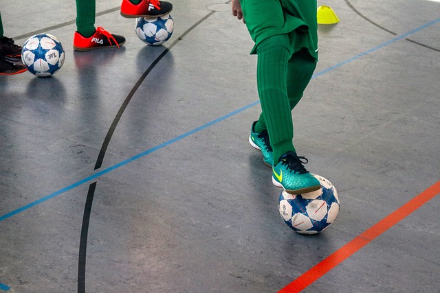 森林狼在这 森林狼在这