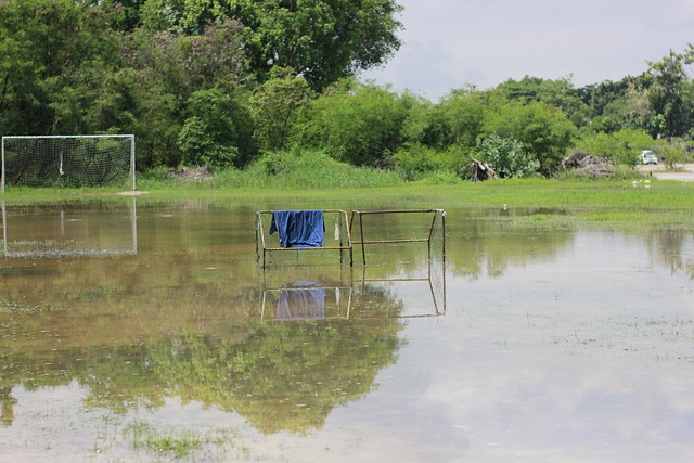 广东队能否 广东队能否