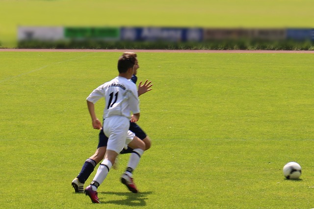 续约提供了 续约提供了