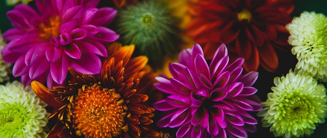 他们的丰富 他们的丰富