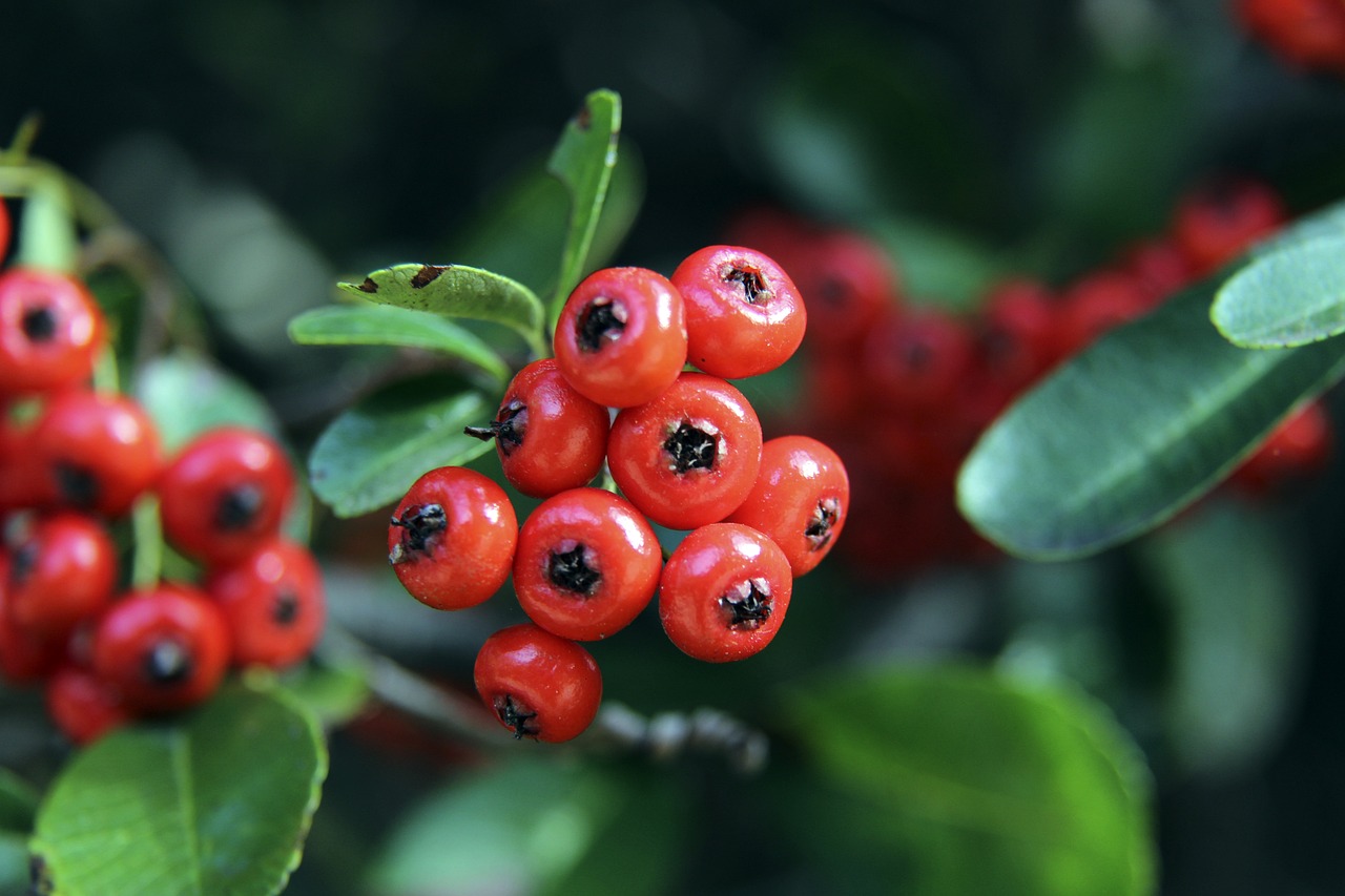 好的状态 好的状态