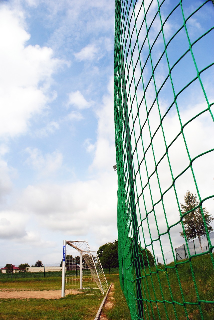 东契奇这样 东契奇这样