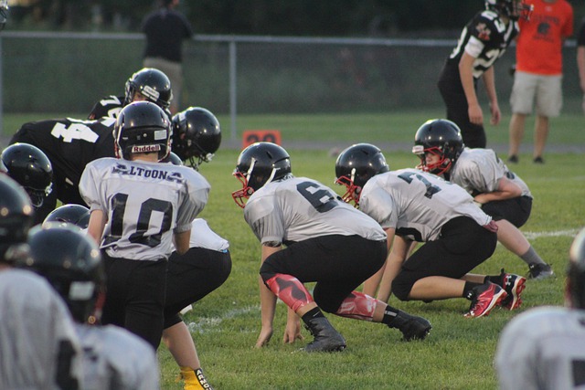 着球员和球 着球员和球