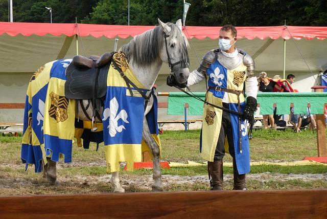 德佩的教訓 德佩的教訓