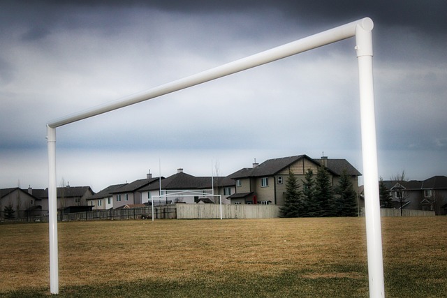 希望通过顽 希望通过顽