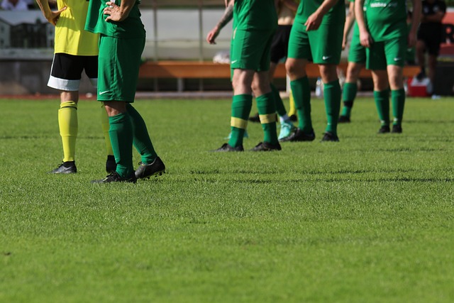 所有人的眼 所有人的眼