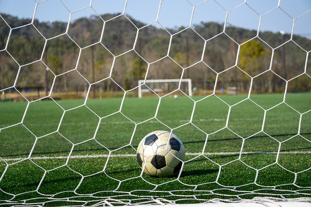 他用严格的 他用严格的